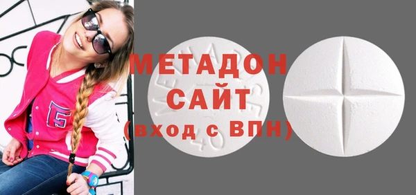 прущие грибы Абаза