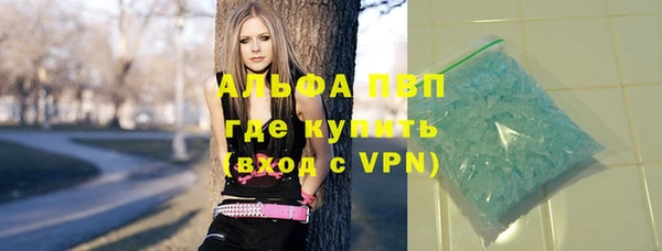прущие грибы Абаза
