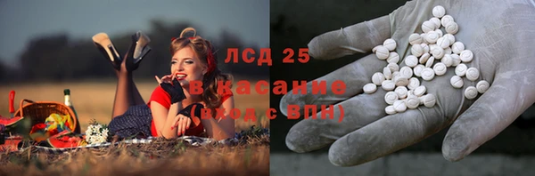 прущие грибы Абаза