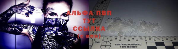 стаф Алексин