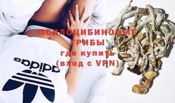 прущие грибы Абаза
