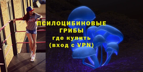 твердый Армянск