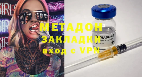 прущие грибы Абаза