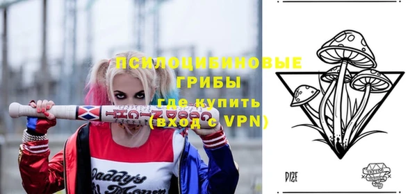 Альфа ПВП Алзамай