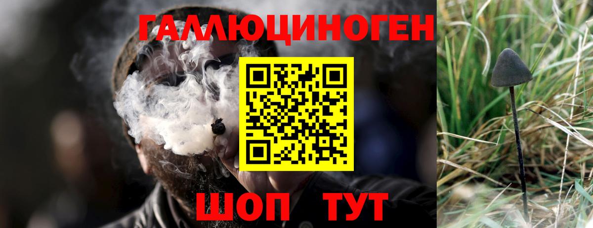 Галлюциногенные грибы MAGIC MUSHROOMS Батайск